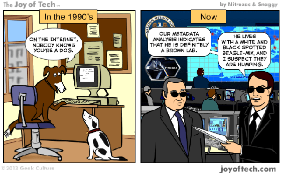 NSA dog