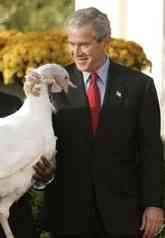 Gobble gobble.