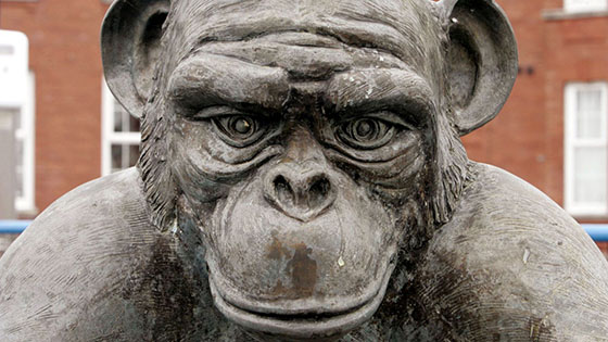 Hartlepool's monkey statue