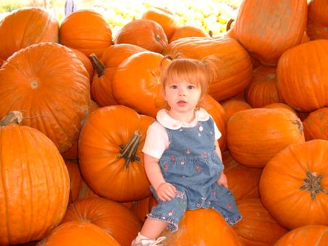 Pumpkin