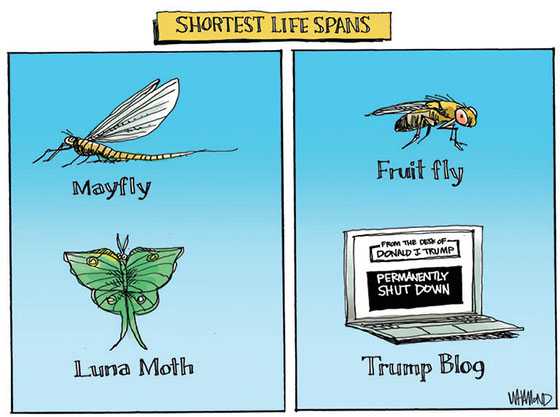 Cartoon: shortest life spans